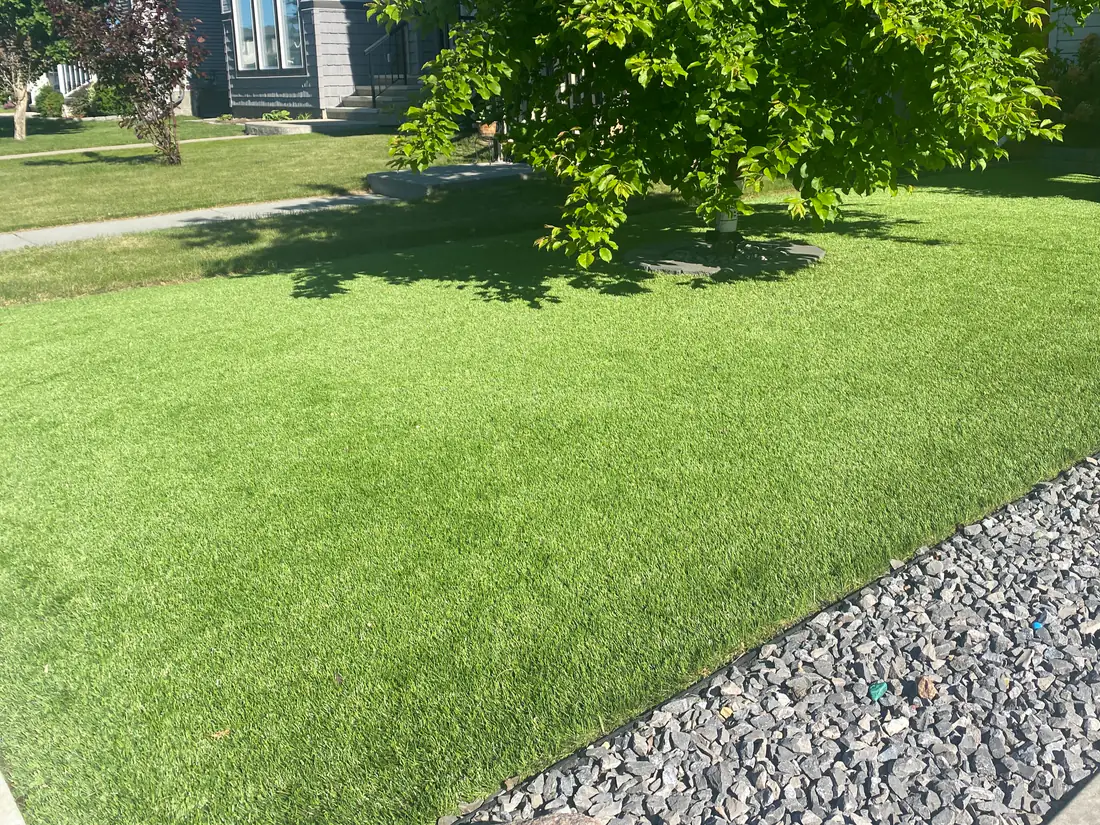 Newly turfed lawn