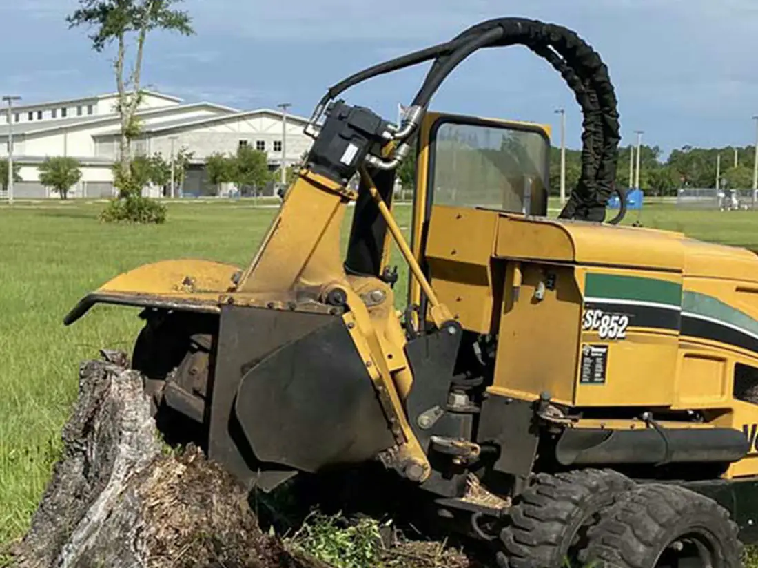 Stump grinder at work